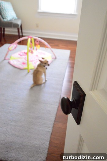 Dog by the door