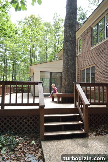 Large Tree Growing Too Close to Your House? What to Do and Risks 2 img 59153 1