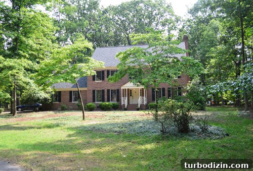 Large Tree Growing Too Close to Your House? What to Do and Risks 10 img 59153 12