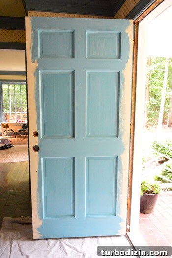 Choose the Perfect Color and Paint Your Front Door Like a Pro 11 Door panels painted