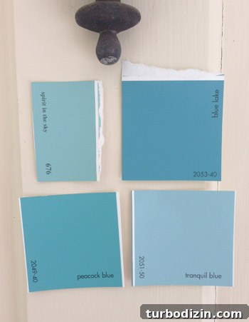 Choose the Perfect Color and Paint Your Front Door Like a Pro 6 Four color contenders