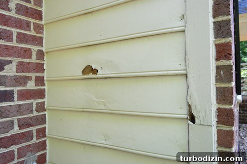 Choosing New Siding Color and Refreshing Exterior Trim 2 img 59370 1