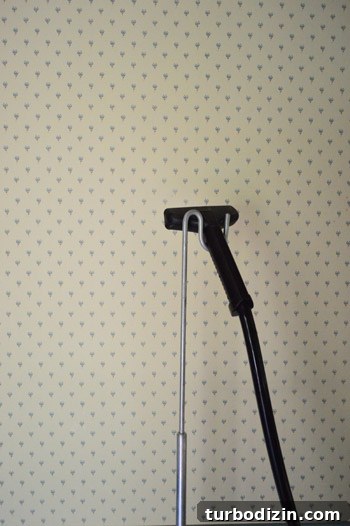 Close-up of small blue floral wallpaper