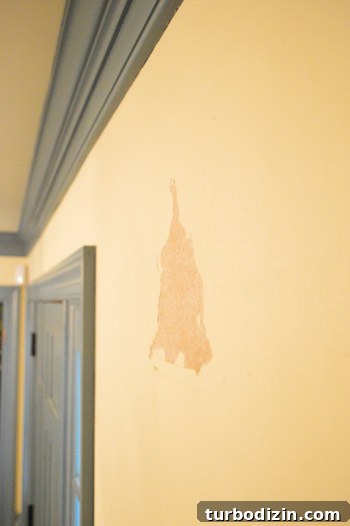 Drywall damage where paper pulled off top layer