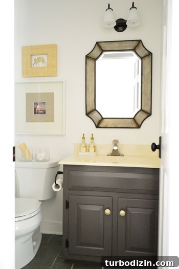 Refresh a Secondhand Bathroom Light: Stylish Upcycling Guide 10 final bathroom vignette with armadillo art