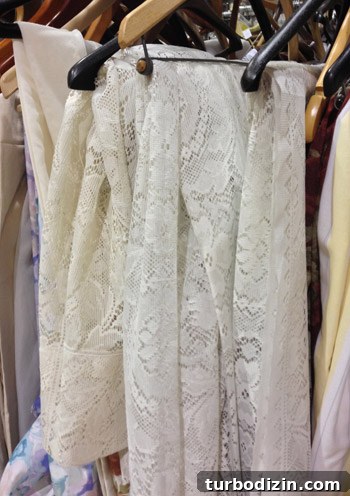 Top Thrift Store Finds: Vintage Gems and Hidden Treasures 12 img 60300 11