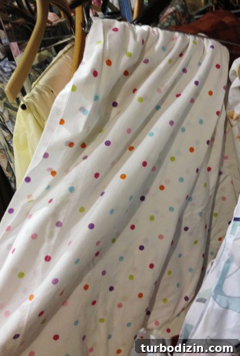 Top Thrift Store Finds: Vintage Gems and Hidden Treasures 13 img 60300 12