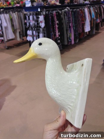 Top Thrift Store Finds: Vintage Gems and Hidden Treasures 15 img 60300 14