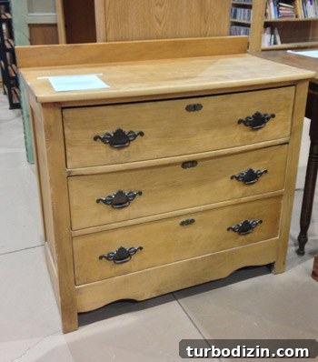 Top Thrift Store Finds: Vintage Gems and Hidden Treasures 7 img 60300 6