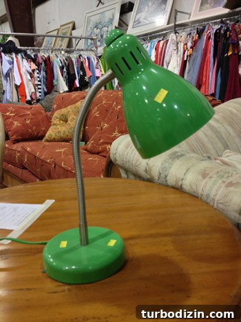 Top Thrift Store Finds: Vintage Gems and Hidden Treasures 9 img 60300 8
