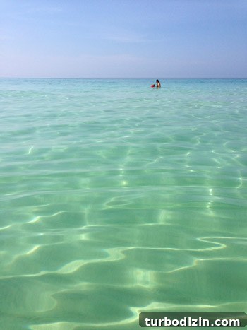 Family Beach Escape in Destin, Florida: Top Activities & Tips 7 img 60351 6