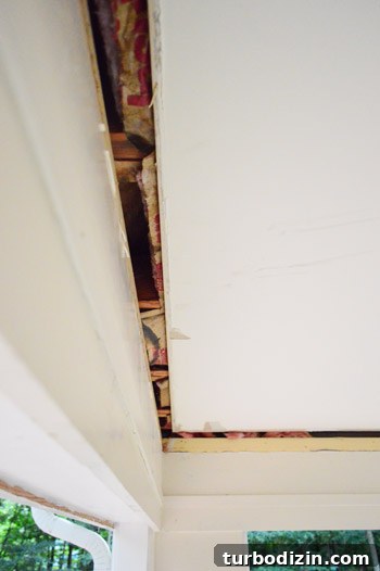 How to Safely Remove an Old Ceiling: Step-by-Step Guide 5 img 60554 4
