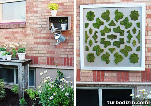 Moss art detail