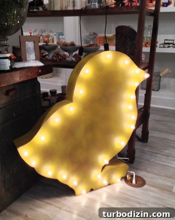 Window Shopping at The Art of Simple in Seaside, FL 7 Lighted chick sign