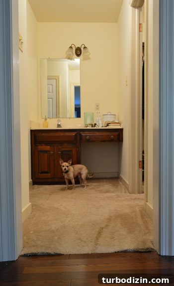 How to Remove Old Wall-to-Wall Carpet Quickly and Cleanly 2 img 61275 1