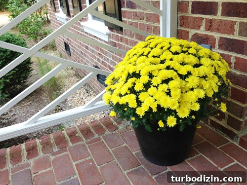 DIY Fall Wreath Ideas: Step-by-Step Guide for Cozy Front Door Décor 11 img 61277 10