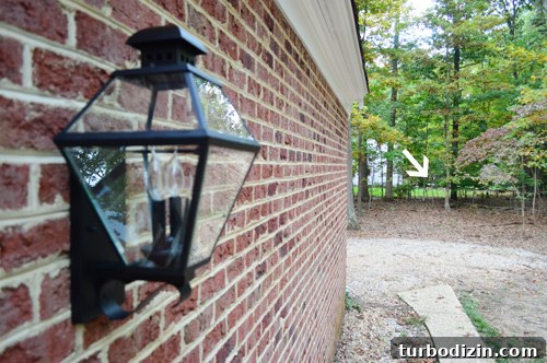 Deer in background of light photo