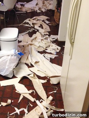 Remove Wallpaper with Soap and Water: Step-by-Step Guide 2 img 61410 1