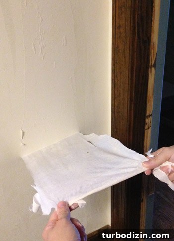 Remove Wallpaper with Soap and Water: Step-by-Step Guide 11 img 61410 15