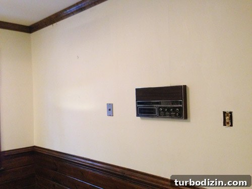 Remove Wallpaper with Soap and Water: Step-by-Step Guide 3 img 61410 2
