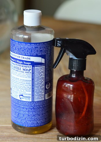 Remove Wallpaper with Soap and Water: Step-by-Step Guide 4 img 61410 3