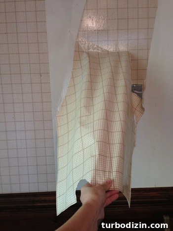 Remove Wallpaper with Soap and Water: Step-by-Step Guide 6 img 61410 5