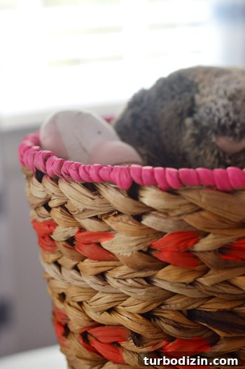 How to Paint Wicker and Seagrass Baskets for Stylish Results 7 img 61537 6