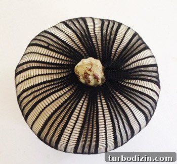 Top view of fishnet pumpkin