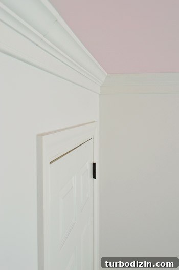 img 61659 11