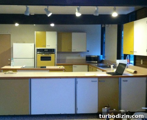 Mid-Century Modern Kitchen Remodel Ideas and Inspiration 3 Before kitchen