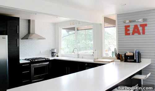 Mid-Century Modern Kitchen Remodel Ideas and Inspiration 6 Acrylic countertops close-up