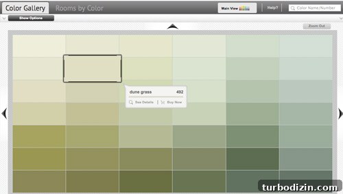 Choose Paint Colors That Flatter Your Home: Expert Tips 10 img 61723 9