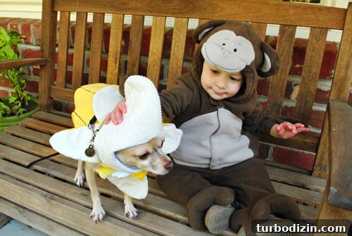 Monkey and banana costumes