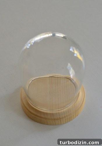 Create Personalized Vacation Keepsake Snow Globes 5 img 61837 5