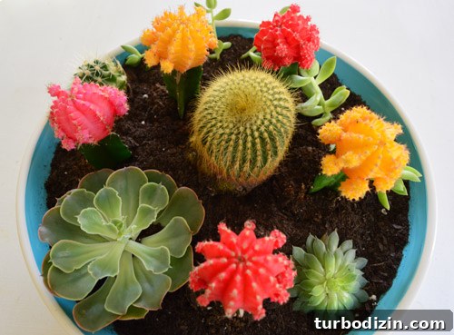 How to Use Ceramic Paint: Techniques, Tips, and Project Ideas 2 Hand-painted planter with succulents