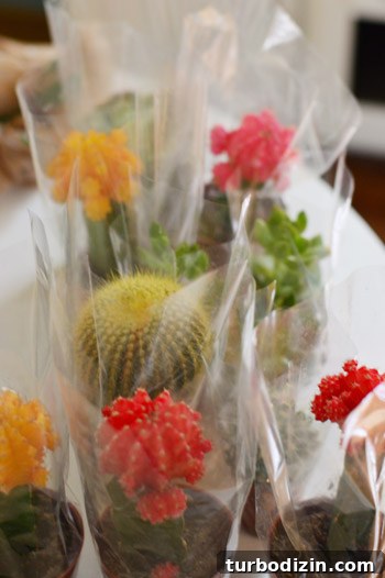 How to Use Ceramic Paint: Techniques, Tips, and Project Ideas 5 Colorful cacti and succulents