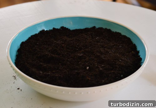 How to Use Ceramic Paint: Techniques, Tips, and Project Ideas 8 Planting succulents