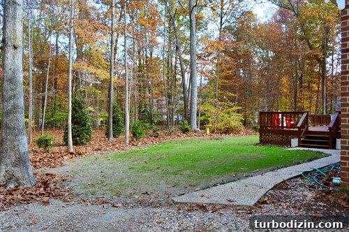 Backyard progress