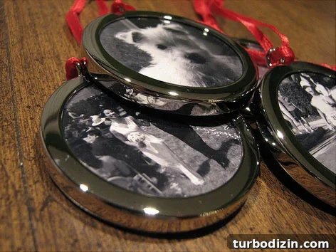ornament-picture-frames-1