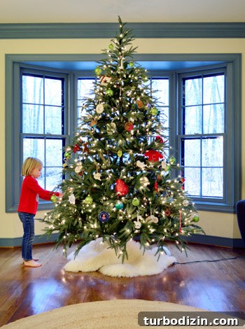 tree-in-bay-window