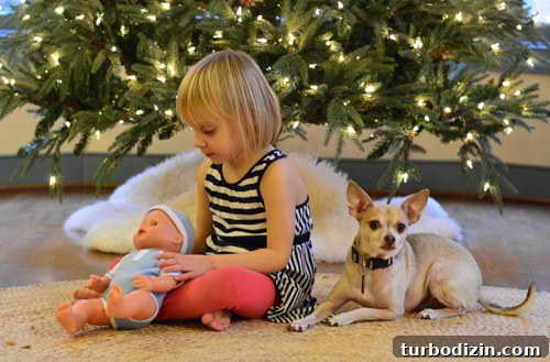 DIY Christmas Card Photo Ideas You Can Shoot at Home 4 img 62732 3