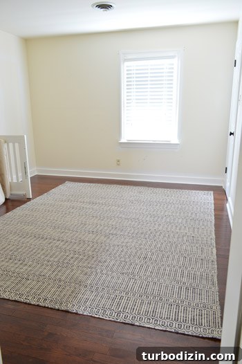 Designing Our Baby Boy’s Nursery: Ideas, Layout & Decor Tips 11 Rug in nursery