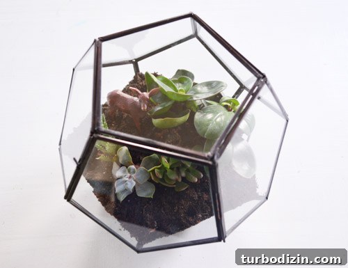 Create a Stunning Glass Terrarium: Step-by-Step Guide 13 img 63085 12