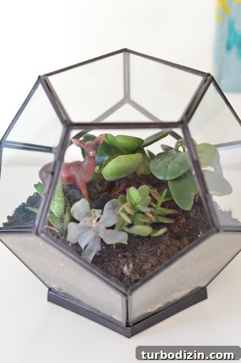 Create a Stunning Glass Terrarium: Step-by-Step Guide 3 img 63085 2