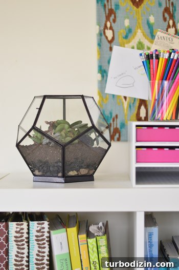 Create a Stunning Glass Terrarium: Step-by-Step Guide 4 img 63085 3