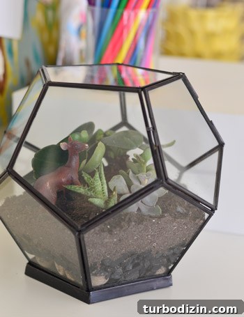 Create a Stunning Glass Terrarium: Step-by-Step Guide 6 img 63085 5