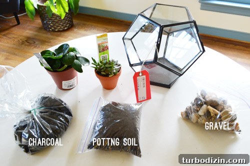 Create a Stunning Glass Terrarium: Step-by-Step Guide 7 img 63085 6