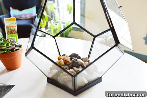 Create a Stunning Glass Terrarium: Step-by-Step Guide 8 img 63085 7