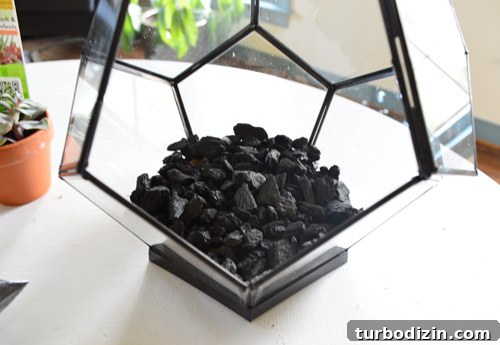 Create a Stunning Glass Terrarium: Step-by-Step Guide 9 img 63085 8