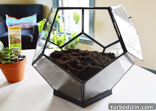 Create a Stunning Glass Terrarium: Step-by-Step Guide 10 img 63085 9
